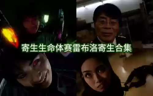 寄生体阵容插图1