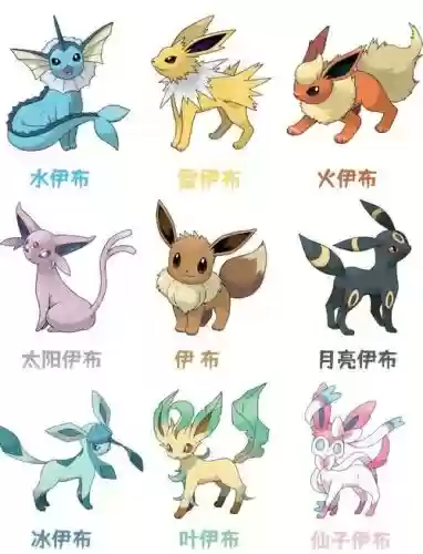 宝可梦神兽队全输出阵容插图