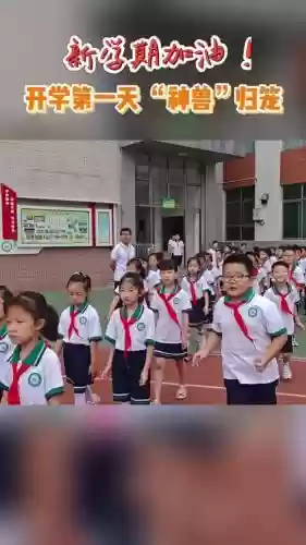 济宁小学阵容插图