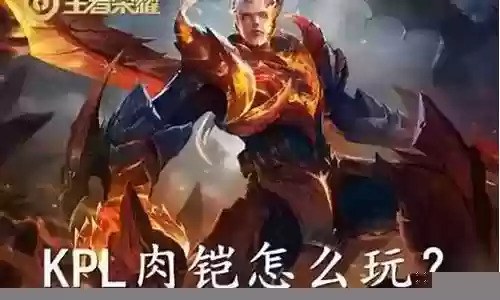 肉铠可以搭配什么阵容打插图