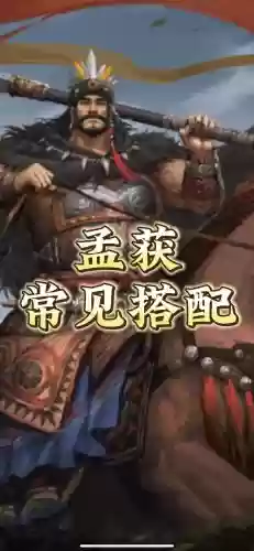 孟获华佗阵容插图