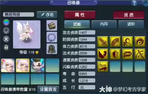 梦幻西游耐攻宠怎么加点插图1