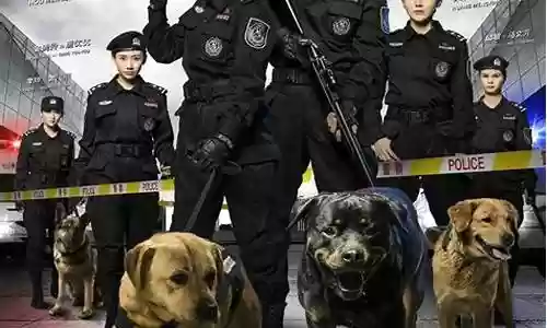 警花与警犬阵容搭配表图片插图
