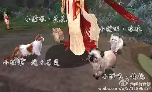 明教重制版跟宠攻略插图1