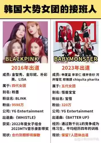 blackpink阵容介绍插图