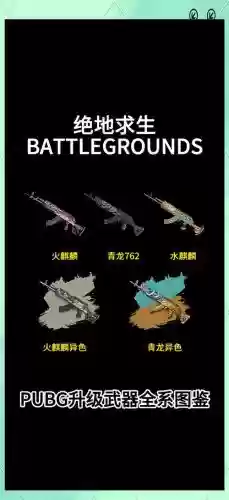 吃鸡绝地求生大武器大全插图