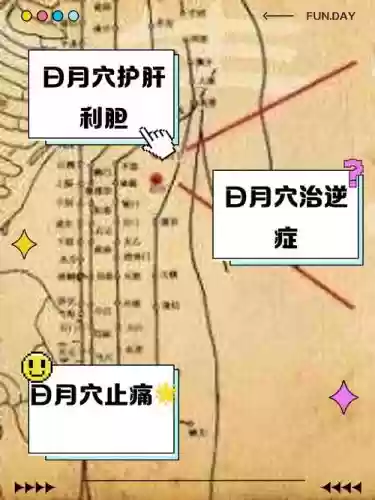 日月保护技能在哪里插图 日月保护技能在哪里插图