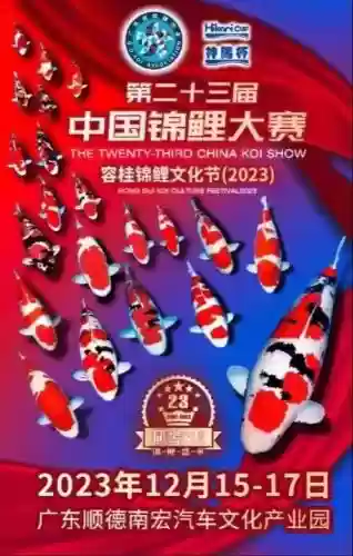 锦鲤赛阵容插图