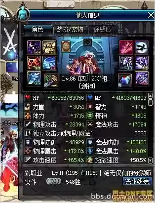 剑神85ss十周年装备_1插图