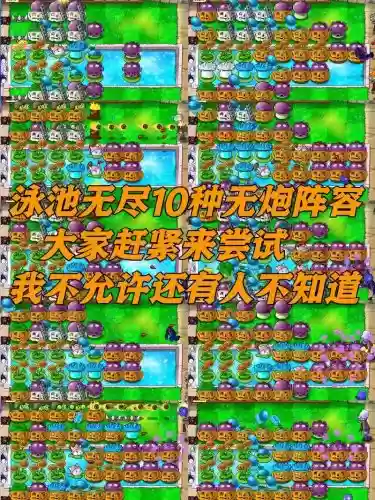 放炮版阵容插图