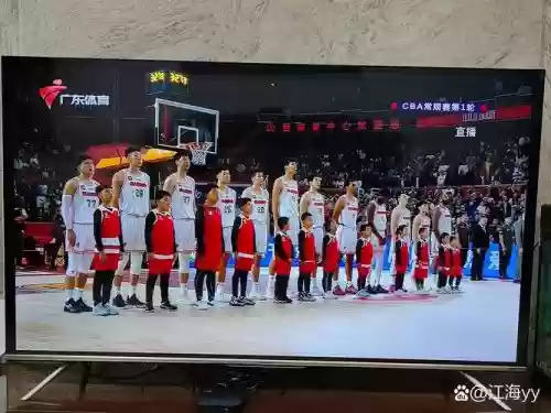 青阳球队阵容插图