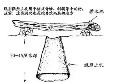 坚固的捕鹤陷阱攻略插图1