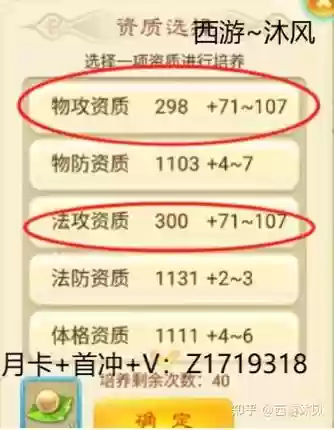 西游女儿国怎么用银币买装备插图