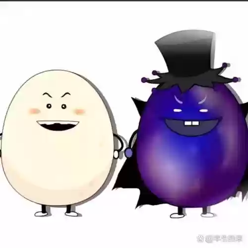 黑大帅阵容插图1