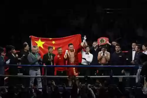 中国拳击阵容插图1