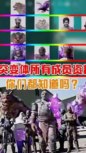 突突常见阵容插图1