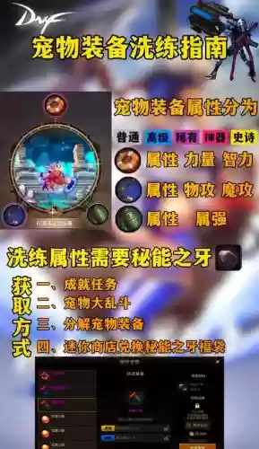 dnf宠物装备可以跨界插图