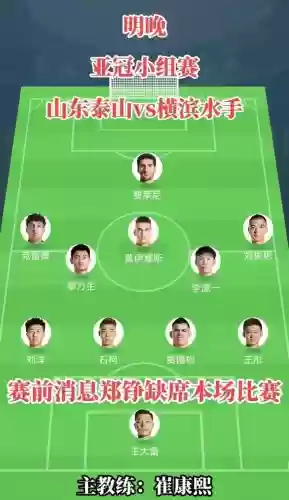 19鲁能阵容插图