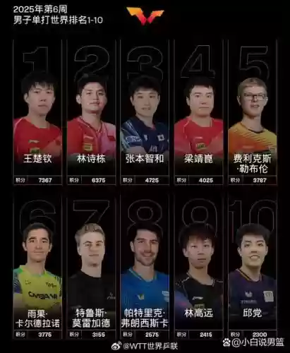 lsb阵容2022插图