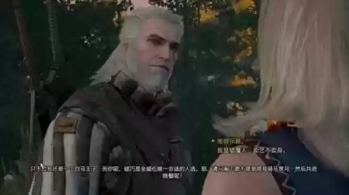 巫师3可攻略女性插图