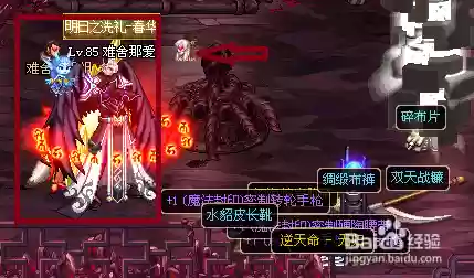 dnf真龙星君刷图快的装备插图1