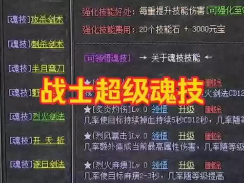 热血传奇战士通用技能插图