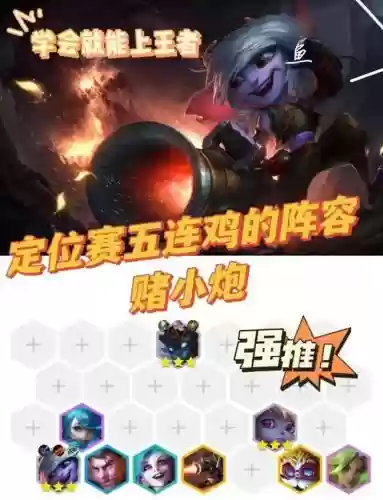 小白斗鸡阵容_1插图 小白斗鸡阵容_1插图