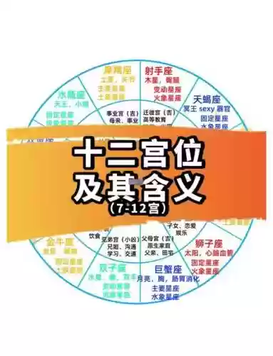 宫2阵容插图1