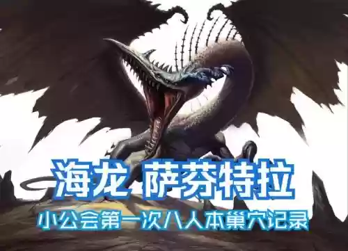 海龙悬赏阵容插图1 海龙悬赏阵容插图1