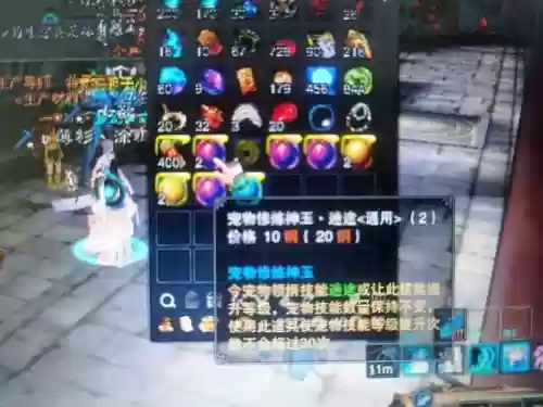 2018年技能宠物宝珠插图