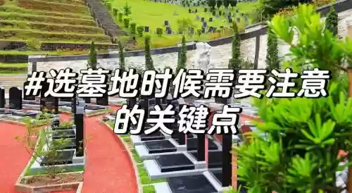 在这里建造坟墓吧攻略插图1 在这里建造坟墓吧攻略插图1