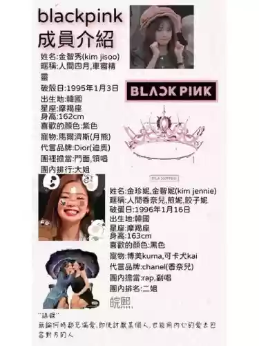 blackpink阵容介绍插图1