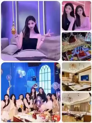 女神酒店阵容插图