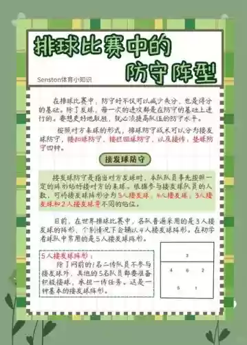 战术阵容教学插图1
