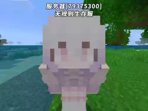 我的世界服务器怎么给宠物穿装备插图1