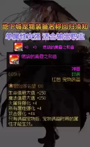 dnf宠物装备可以跨界插图1