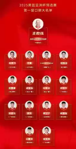 预赛阵容名单插图