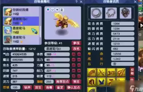 梦幻西游普陀69装备插图1