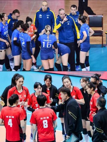 女排调换阵容插图 女排调换阵容插图