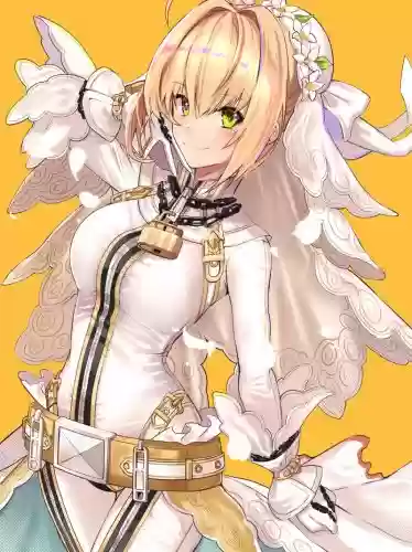 尼禄花嫁技能满破插图