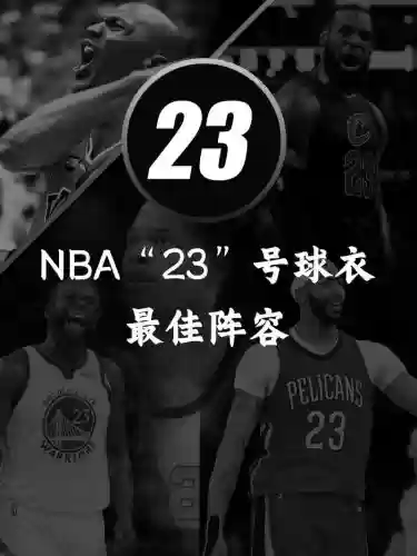 23阵容插图
