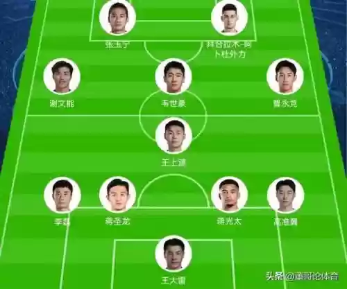 两鸟阵容插图1