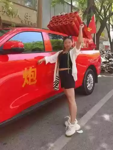 礼炮车阵容插图1