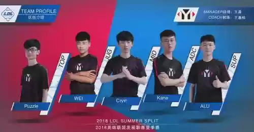 早期ym阵容插图