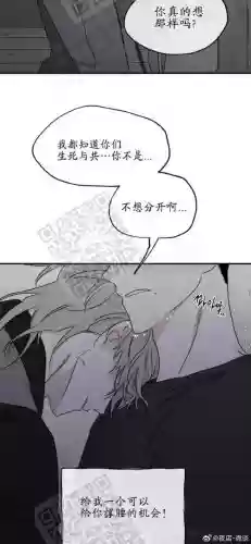 坚固的捕鹤陷阱攻略插图