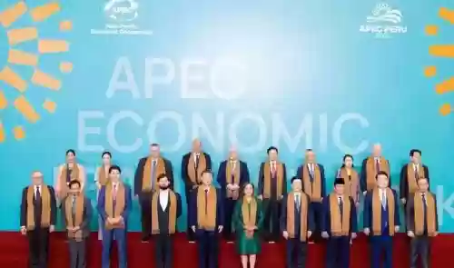 apec推荐阵容插图