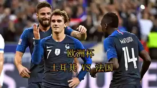 土耳其法国阵容插图1