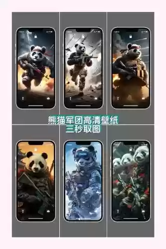 熊猫蚁搭配阵容_1插图1 熊猫蚁搭配阵容_1插图1