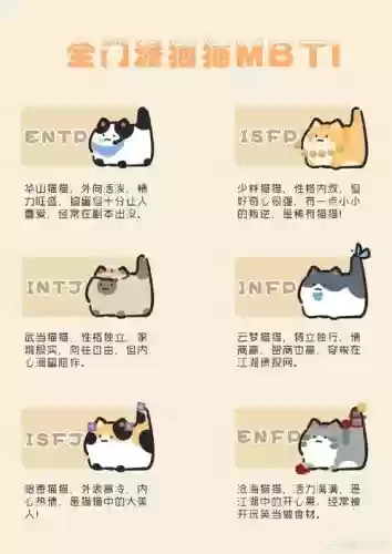 冷门猫阵容插图