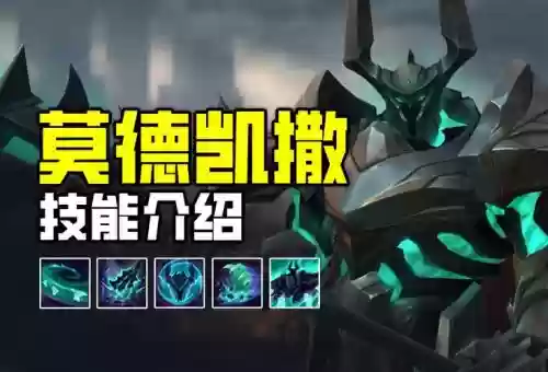 lol无敌技能的英雄插图